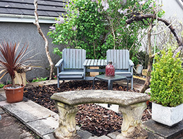 Greenhouse area cleared for seating. Stone bench from front garden